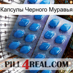 Капсулы Черного Муравья viagra2